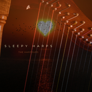 91久久六热视频精品
